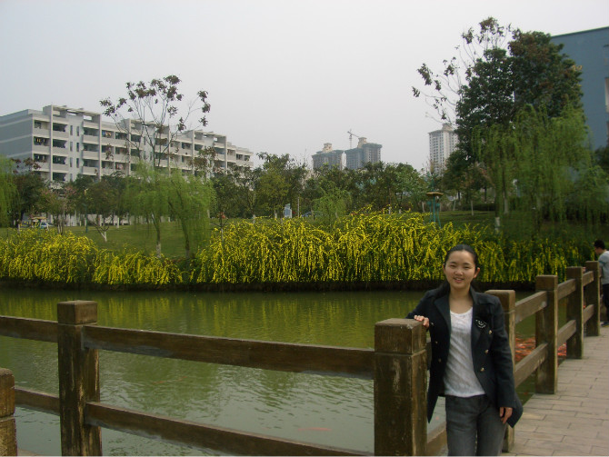 11陈晓红.jpg